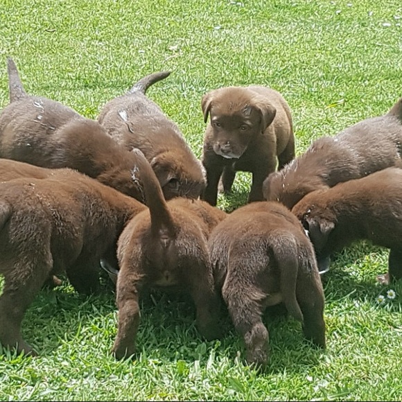 Bundle and Save! - Picture 8 of 10